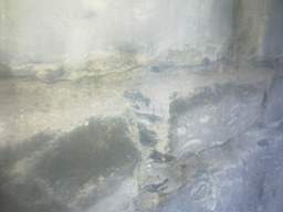 millstreet 11190.jpg